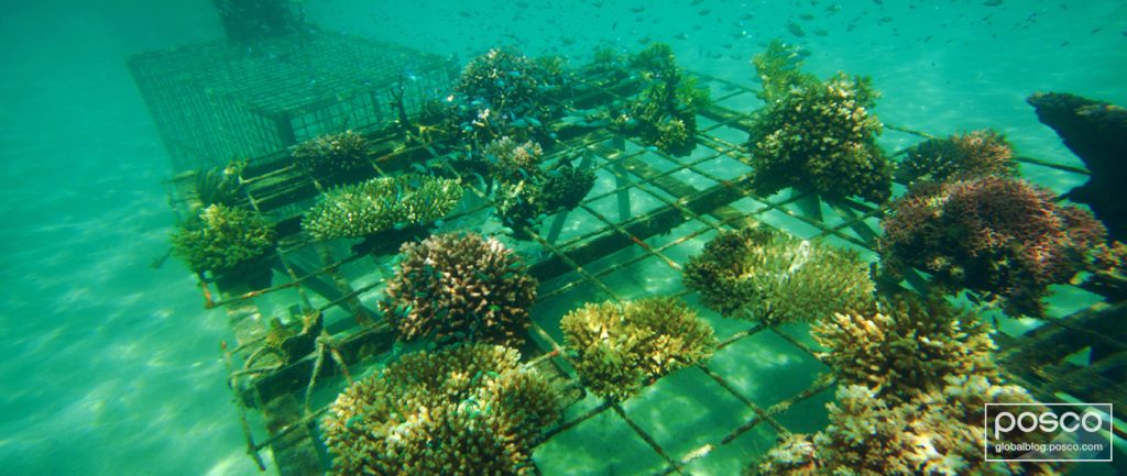 An example of an artificial reef used to support plant growth
