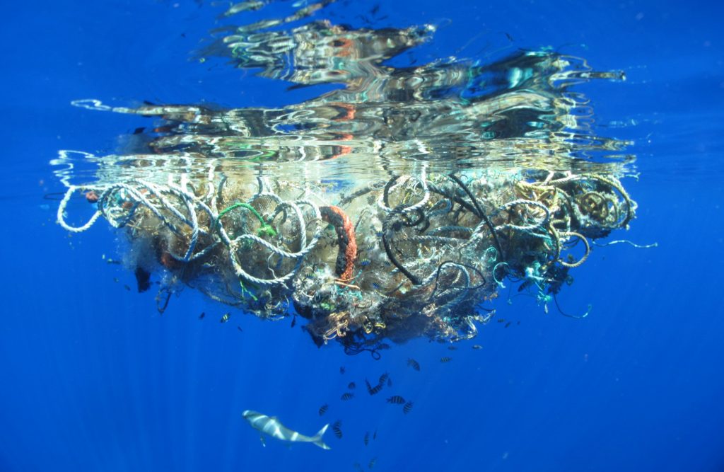 A cluster of garbage floating on the ocean.