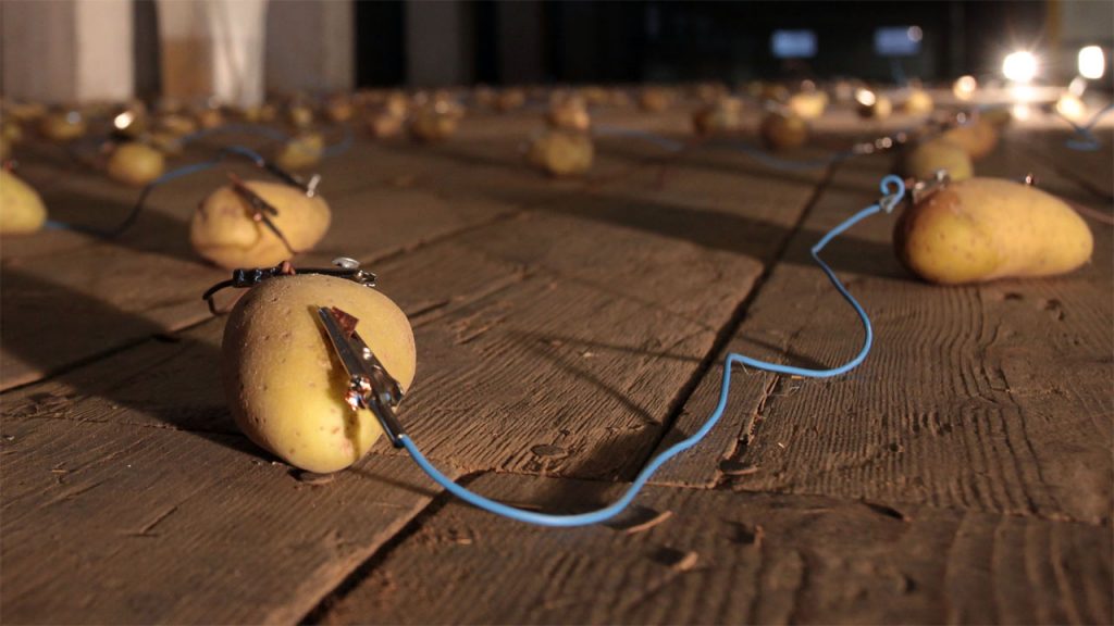  A lightbulb lights up thanks to a simple potato battery cell. 