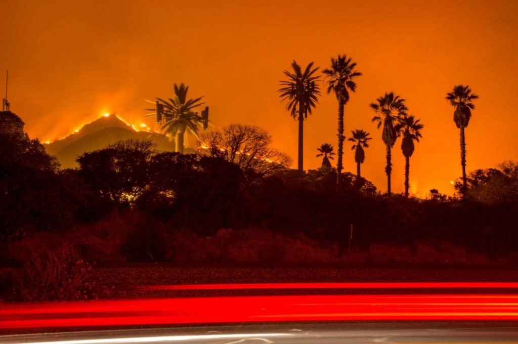 Wildfires engulf forests in California.