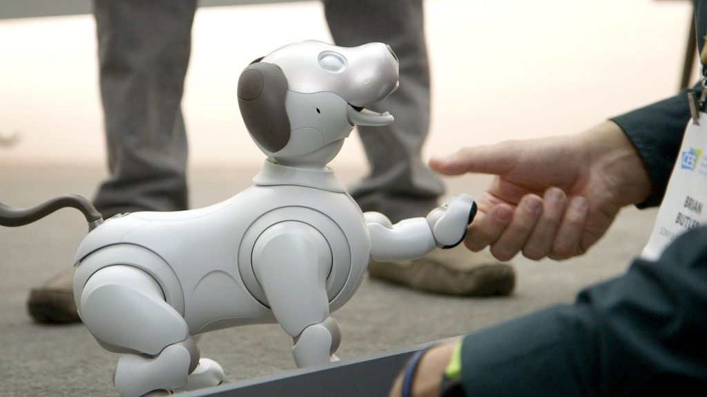 A person holding hands with the Sony Aibo.