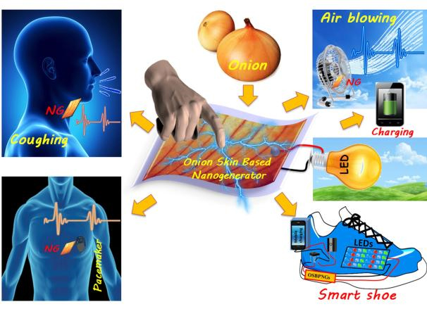  양파껍질을 기반으로 만든 나노발전소자를 통해 기침과 심장박동에 대한 센서 구동(왼쪽)과 바람과 스마트 신발을 통한 LED 구동(오른쪽).