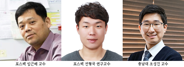 포스텍 임근배 교수 포스텍 전형국 연구교수 충남대 조성진 교수