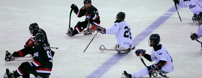 파라 장애인아이스하키 경기 모습 .