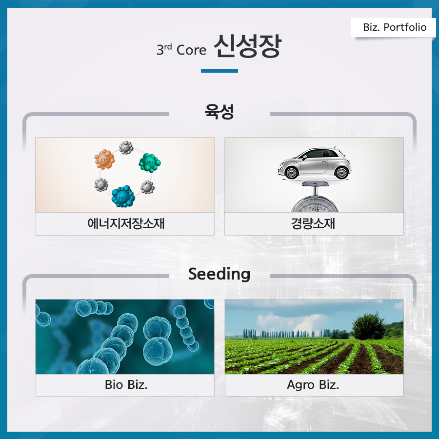 포스코 4대 전략 biz. portfolio 3nd core 신성장 육성 에너지저장소재,경량소재 육성 seeding bio biz agro biz seeding