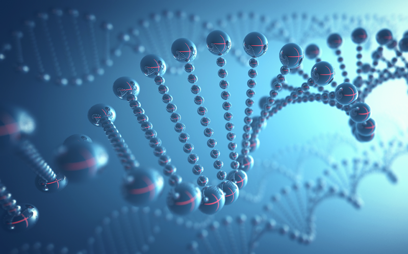 DNA 구조를 3D로 구현한 모습.
