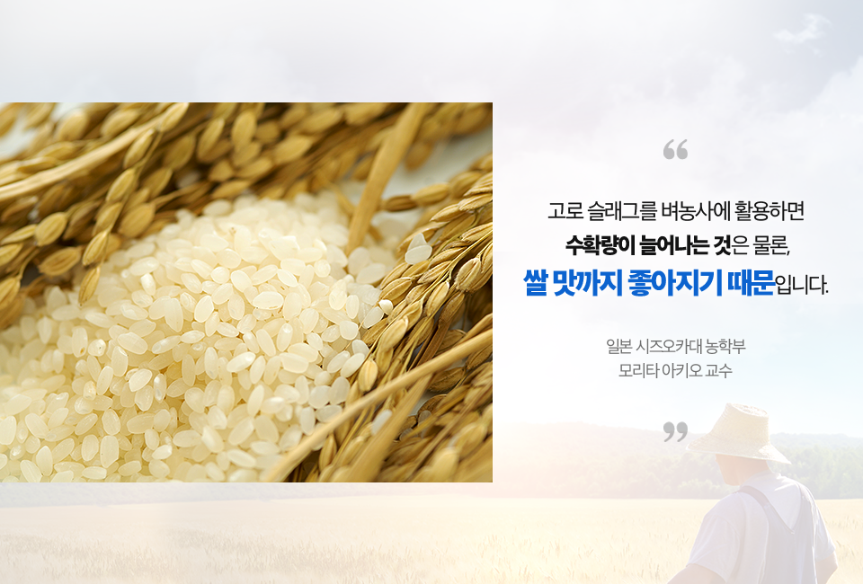 정제된 쌀 사진. (고로 슬래그를 벼농사에 활용하면 수확량이 늘어나는 것은 물론, 쌀 맛까지 좋아지기 때문입니다. 일본 시즈오카대 농학부 모리타 아키오 교수)