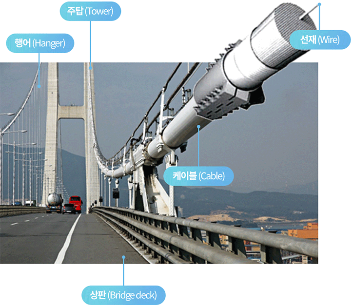 현수교의 구조를 설명하고 있는 표. 주탑(Tower), 행어(Hanger), 케이블(Cable), 선재(Wire), 상판(Bridge deck)을 안내한다.