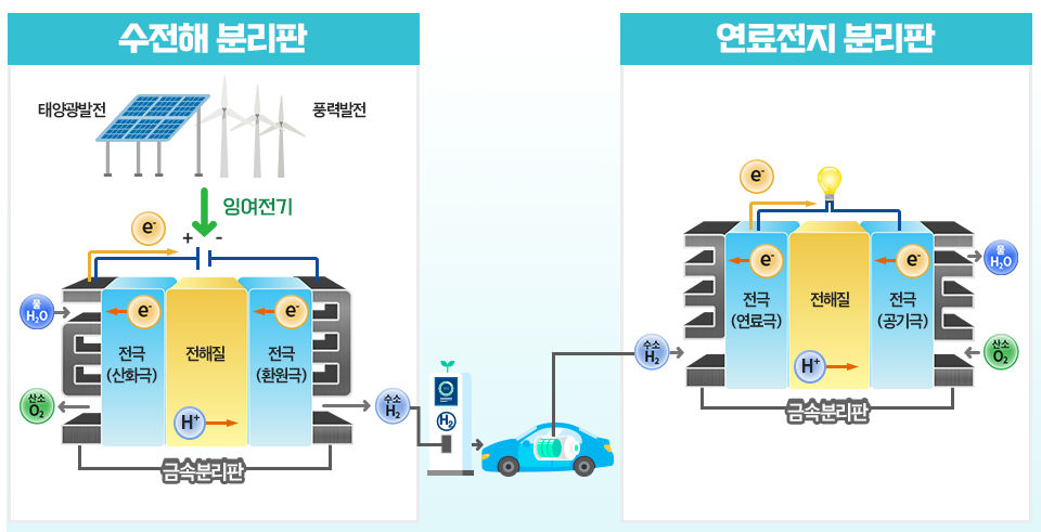 수전해 분리판(좌)과 연료전지 분리판(우)의 설명 그림. 수전해 분리판은 물에서 수소를 생산하는 부품이기 때문에, 수소 자동차나 발전기의 연료전지 분리판과는 다른 역반응으로 운용된다. 연료전지 분리판은 내연 기관 자동차로 따지면 엔진에 해당되는 연료전지에 들어가는 분리판으로, 연료전지는 자동차에 주입된 수소를 전기에너지로 바꾸는 역할을 한다.
