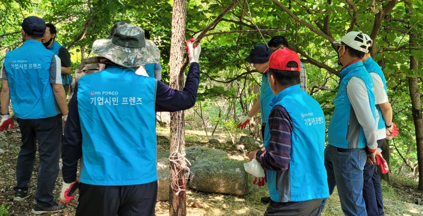 'with posco 기업시민 프렌즈'라고 적힌 하늘색 조끼를 입은 남자들이 울진 산불피해지역 생태복원을 위해 뽕잎을 배치하고있다.