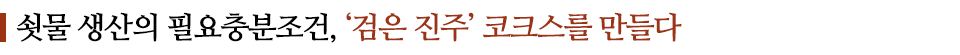 쇳물 생산의 필요충분조건, '검은 진주' 코크스를 만들다 라고 쓰인 글꼴박스