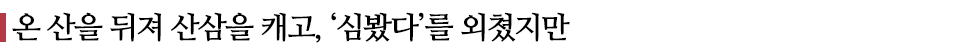 온 산을 뒤져 산삼을 캐고, ‘심봤다’를 외쳤지만 라고 쓰인 글꼴박스 