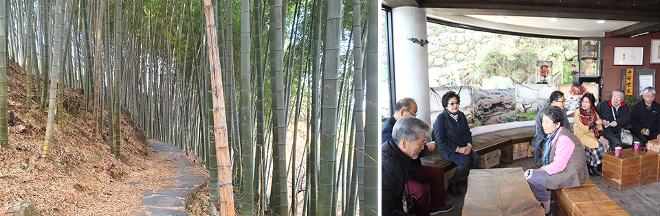 왼쪽은 대나무숲을 찍은 사진이며, 오른쪽은 실내에서 어르신들이 한 데 모여 차 한잔 마시며 담소를 나누는 모습이다.