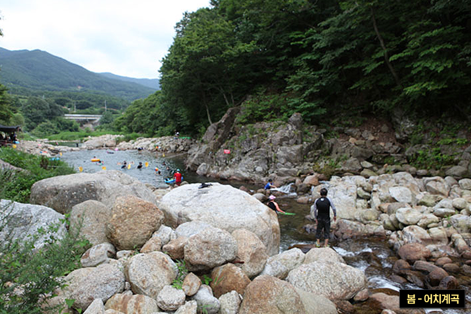 돌이 많은 계곡에서 사람들이 물놀이하는 모습으로, 오른쪽 하단에 봄-어치계곡이라고 캡션이 들어가 있다.