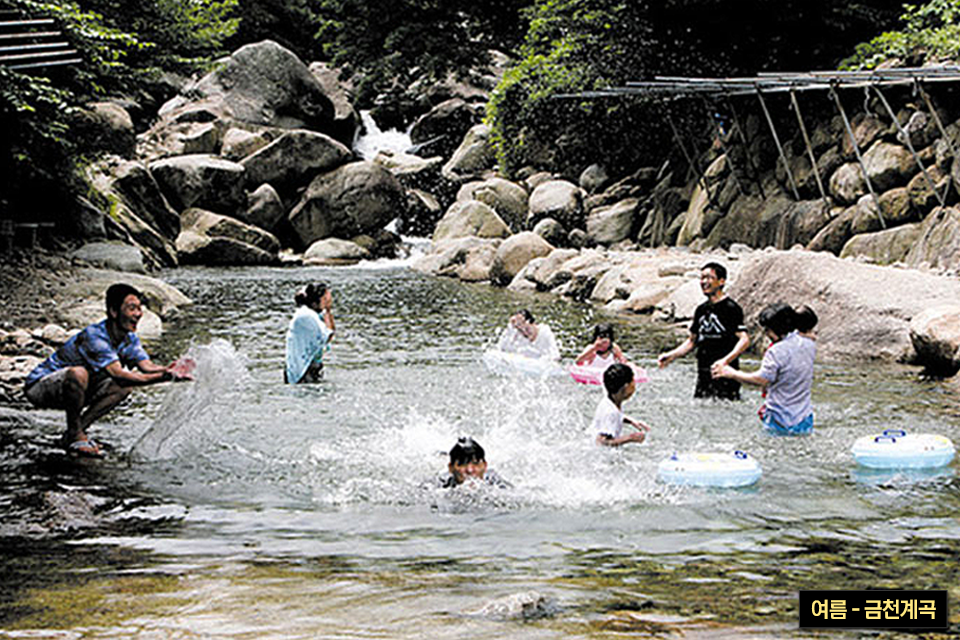 아이들이 계곡에서 물장구를 치며 물놀이를 하는 모습으로 오른쪽 하단에 여름-금천계곡이라고 캡션이 들어가 있다. 