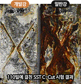 110일에 걸친 SST C-Cut 시험 결과 부식 강판 비교 사진. 왼쪽은 부식강 오른쪽은 일반강 사진.
