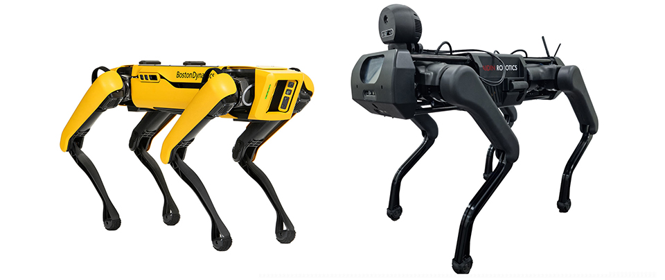 ▲미국 보스턴다이나믹스사의 노란색 4족 보행 로봇 스폿(왼쪽)과 국내 로봇 전문 기업이 개발 중인 까만색의 4족 보행 로봇(오른쪽) 이미지다. 
