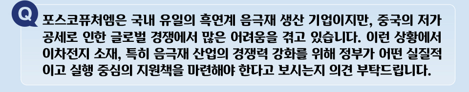 Q 포스코퓨처엠은 국내 유일의 흑연계 음극재 생산 기업이지만, 중국의 저가 공세로 인한 글로벌 경쟁에서 많은 어려움을 겪고 있습니다. 이런 상황에서 이차전지 소재, 특히 음극재 산업의 경쟁력 강화를 위해 정부가 어떤 실질적이고 실행 중심의 지원책을 마련해야 한다고 보시는지 의견 부탁드립니다.
