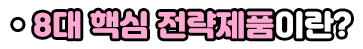 왜 8대 핵심 전략제품이란?