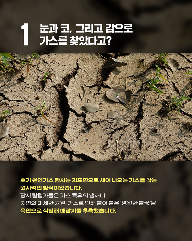 1 눈과 코, 그리고 감으로 가스를 찾았다고? (이미지 설명: 가뭄이나 건조함으로 인해 거칠고 깊게 쩍쩍 갈라진 황토색 지표면 사진이 있습니다. 갈라진 틈새 사이사이로 마른 갈색 나뭇잎 몇 개가 떨어져 있고, 척박한 환경 속에서도 작고 푸른 새싹들이 군데군데 돋아나 있는 모습입니다.) 초기 천연가스 탐사는 지표면으로 새어 나오는 가스를 찾는 원시적인 방식이었습니다. 당시 탐험가들은 가스 특유의 냄새나 지면의 미세한 균열, 가스로 인해 불이 붙은 '영원한 불꽃'을 육안으로 식별해 매장지를 추측했습니다.